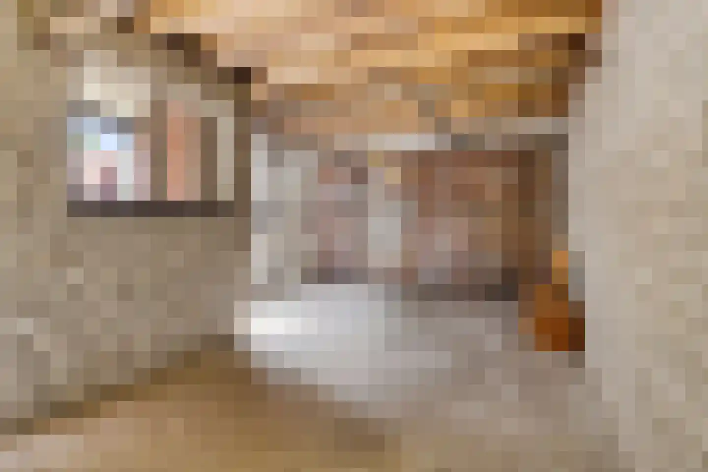 Bernardus IJzerdraatstraat 24 Oss thumbnail 37