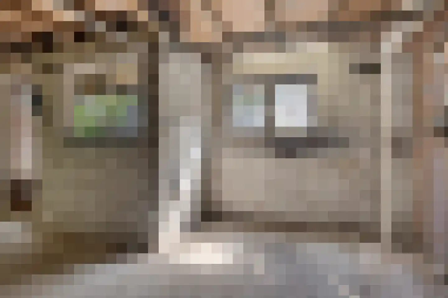 Bernardus IJzerdraatstraat 24 Oss thumbnail 39