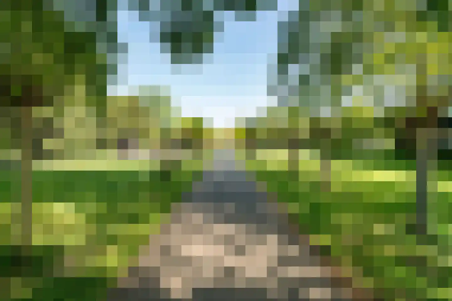 Bernardus IJzerdraatstraat 24 Oss thumbnail 46