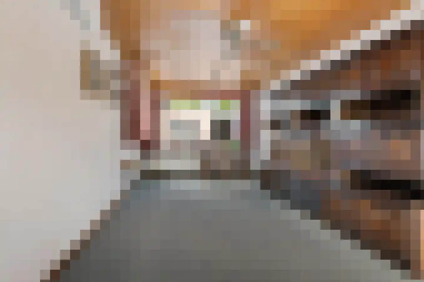 Bernardus IJzerdraatstraat 24 Oss thumbnail 7