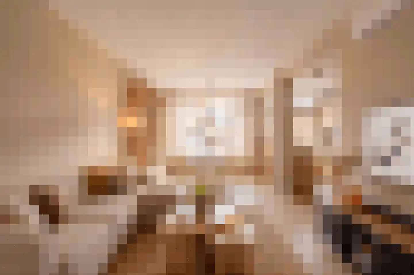 Bernardus IJzerdraatstraat 24 Oss thumbnail 8