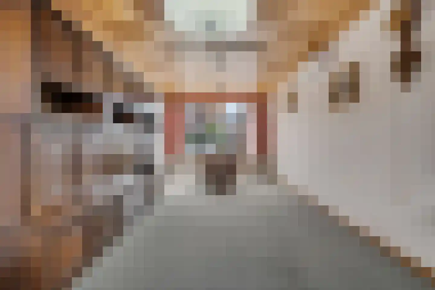 Bernardus IJzerdraatstraat 24 Oss thumbnail 9