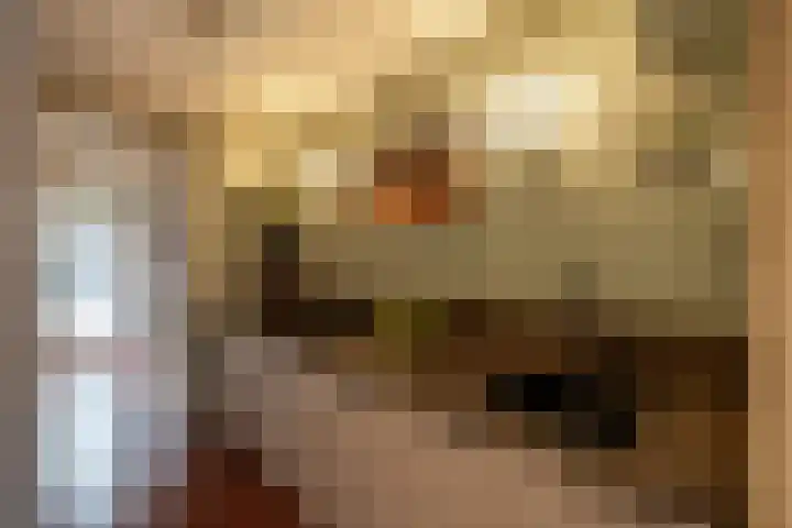 Bernardus IJzerdraatstraat 3 Oss thumbnail 11
