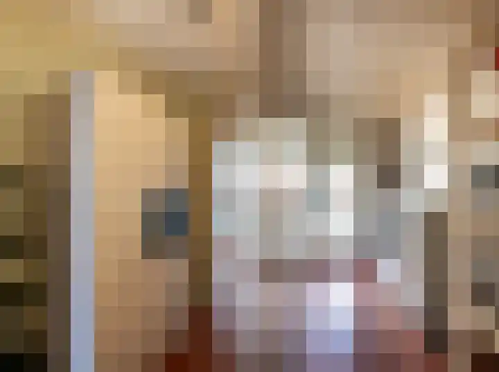 Bernardus IJzerdraatstraat 3 Oss thumbnail 12