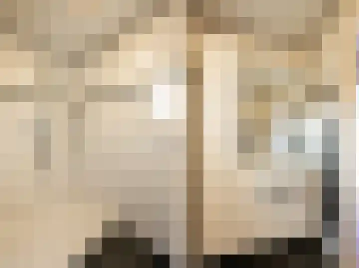 Bernardus IJzerdraatstraat 3 Oss thumbnail 16