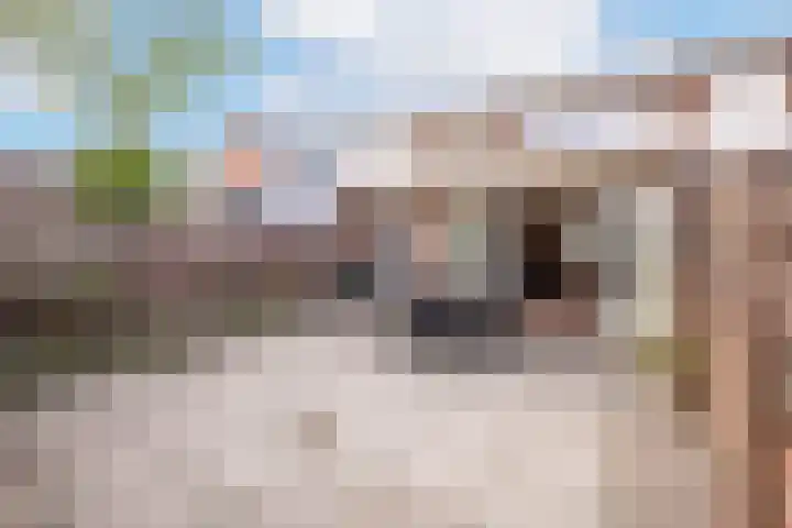 Bernardus IJzerdraatstraat 3 Oss thumbnail 17