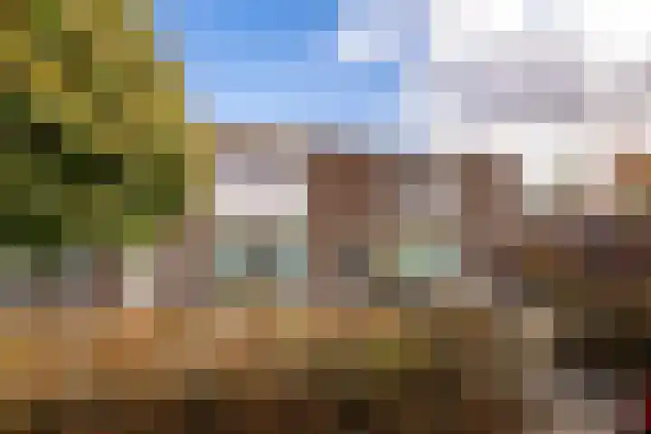 Bernardus IJzerdraatstraat 3 Oss thumbnail 22
