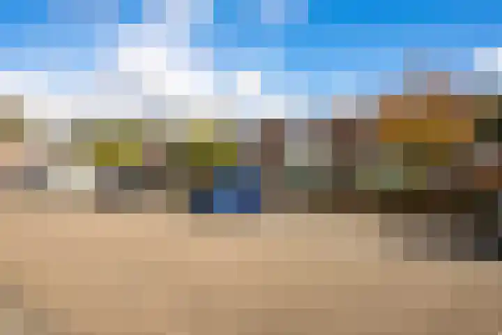 Bernardus IJzerdraatstraat 3 Oss thumbnail 23
