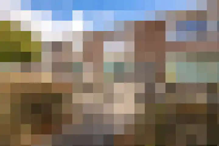 Bernardus IJzerdraatstraat 3 Oss thumbnail 5