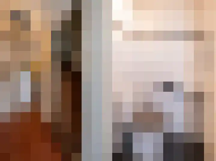 Bernardus IJzerdraatstraat 3 Oss thumbnail 6