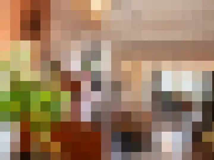 Bernardus IJzerdraatstraat 3 Oss thumbnail 9
