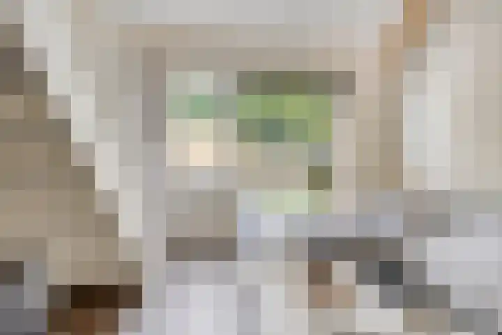Bernardushof 23 Bergeijk thumbnail 10