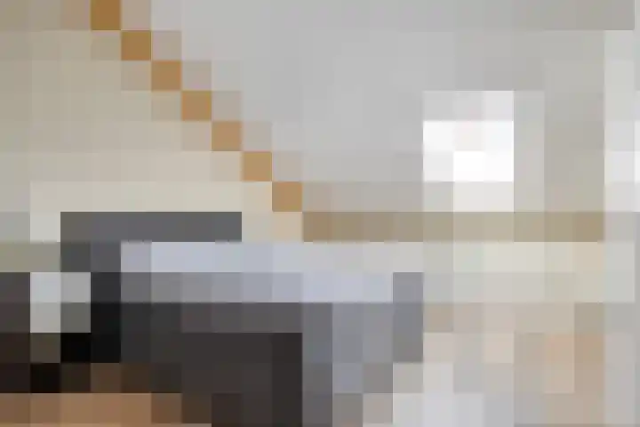 Bernardushof 23 Bergeijk thumbnail 13