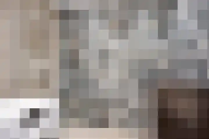 Bernardushof 23 Bergeijk thumbnail 19