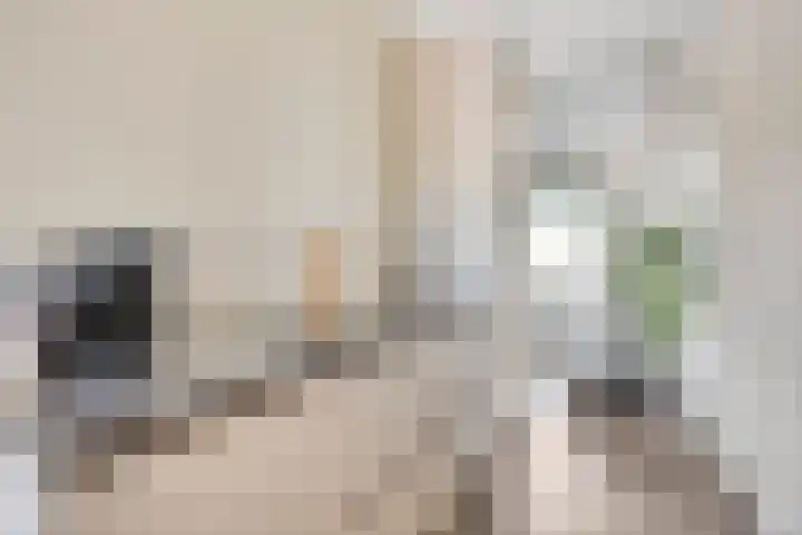 Bernardushof 23 Bergeijk thumbnail 6