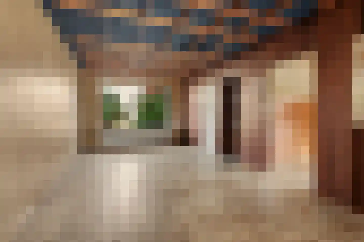 Bernardusstraat 1 Ulicoten thumbnail 18