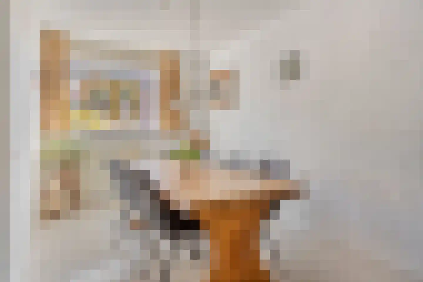 Bernardusstraat 65 Ulicoten thumbnail 7