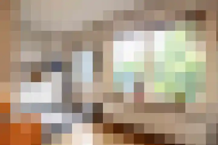 Bernardusweg 16 Aduard thumbnail 14