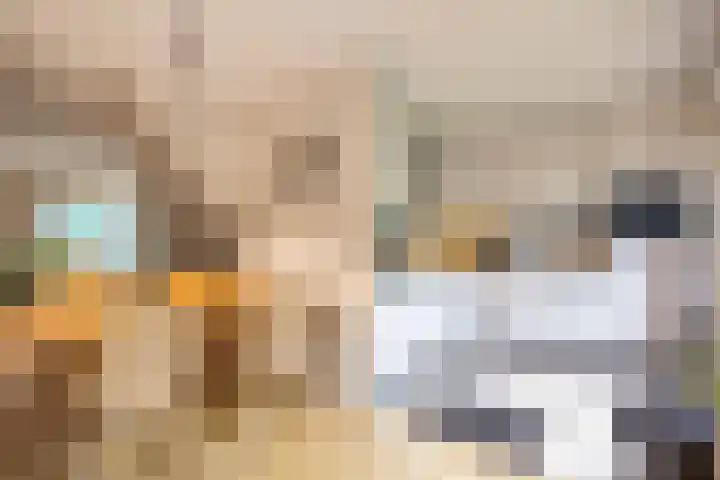 Bernardusweg 16 Aduard thumbnail 15