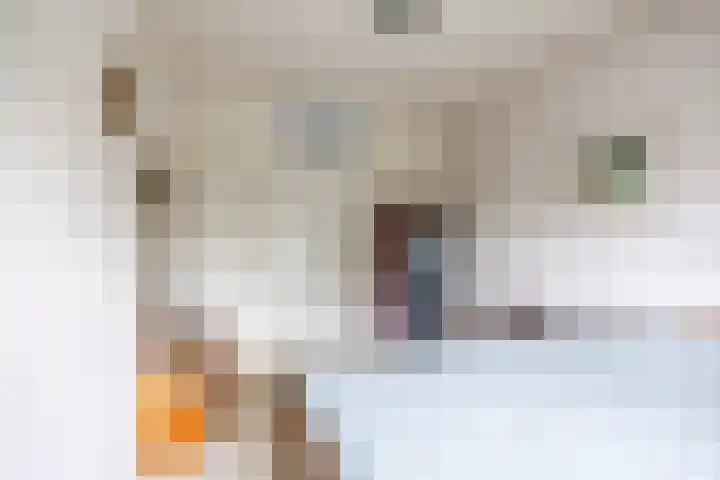 Bernardusweg 16 Aduard thumbnail 19