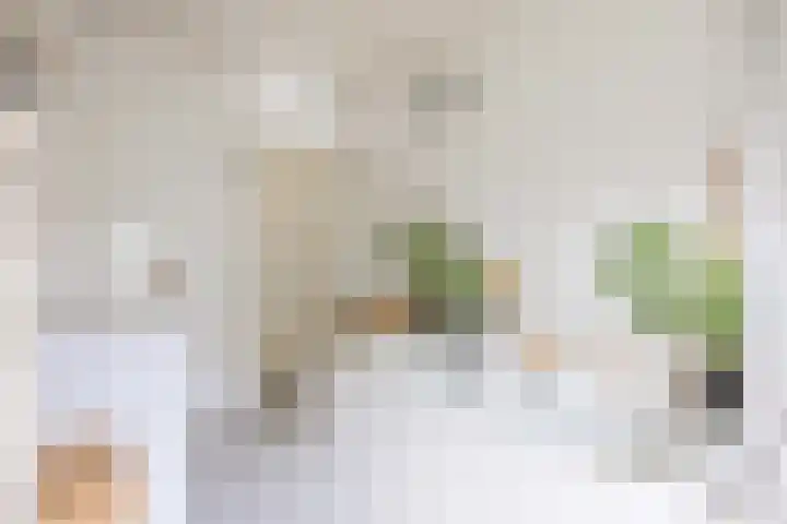 Bernardusweg 16 Aduard thumbnail 23