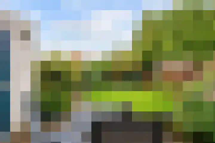 Bernardusweg 16 Aduard thumbnail 26