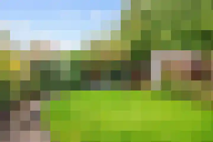 Bernardusweg 16 Aduard thumbnail 27