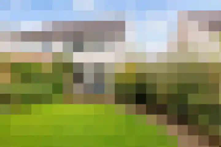 Bernardusweg 16 Aduard thumbnail 28