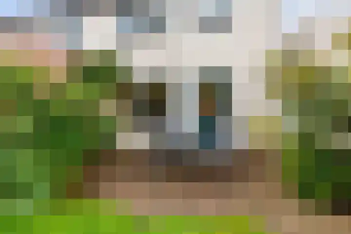 Bernardusweg 16 Aduard thumbnail 29