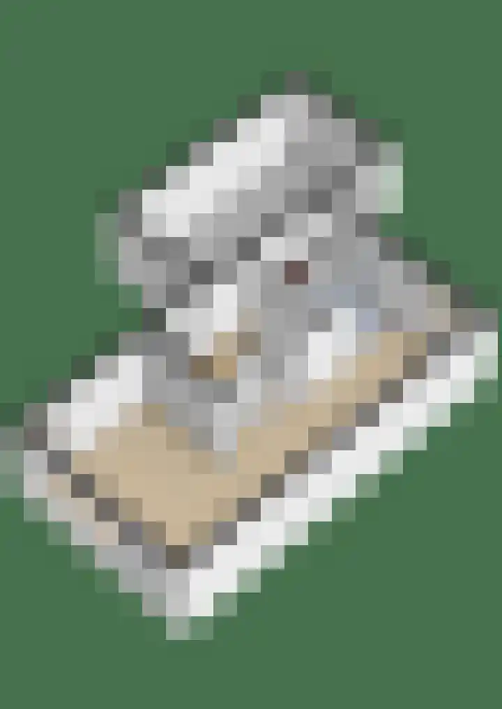 Bernardusweg 16 Aduard thumbnail 31
