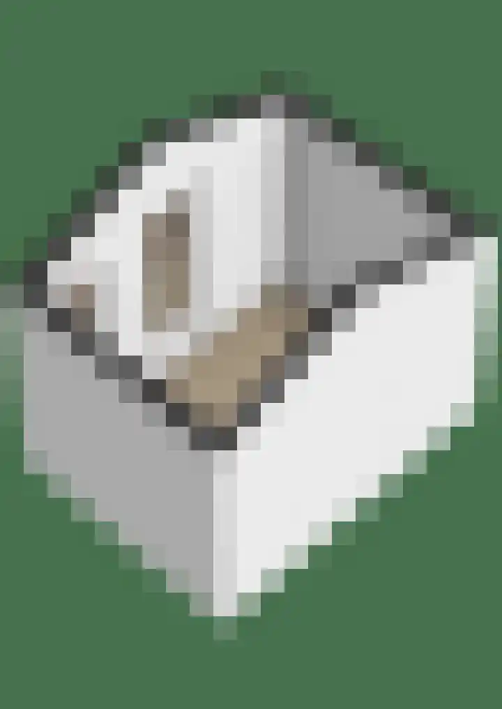 Bernardusweg 16 Aduard thumbnail 37