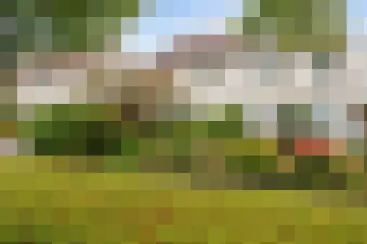 Bernardusweg 16 Aduard thumbnail 5