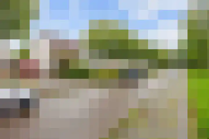 Bernardusweg 16 Aduard thumbnail 6