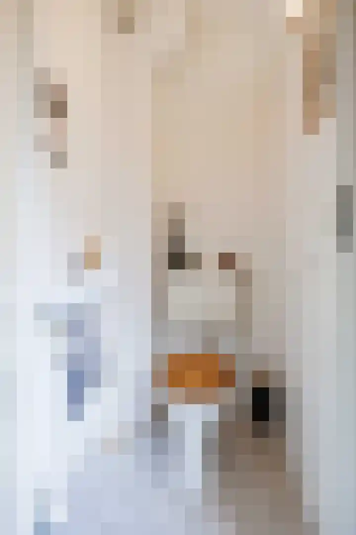 Bernardusweg 16 Aduard thumbnail 8