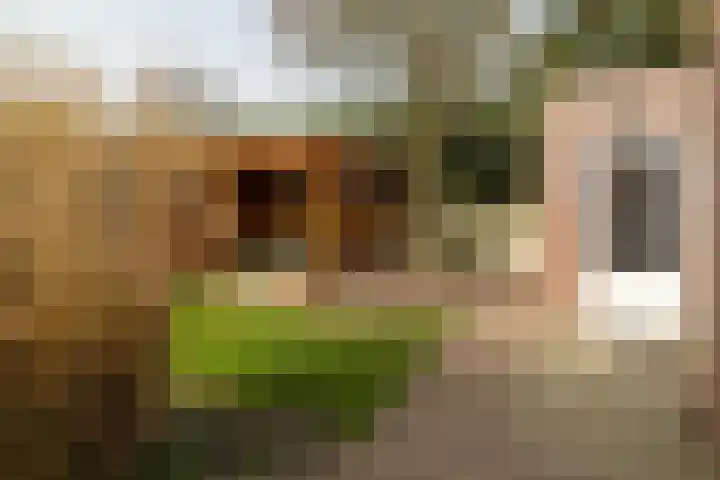 Berndijksestraat 15 Kaatsheuvel thumbnail 42