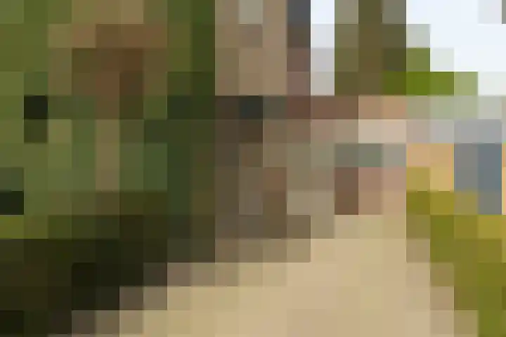 Berndijksestraat 15 Kaatsheuvel thumbnail 6