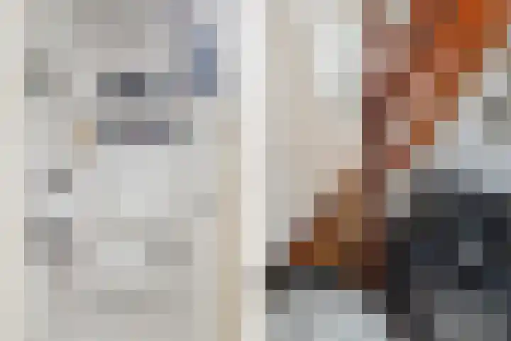 Berndijksestraat 16 Kaatsheuvel thumbnail 4