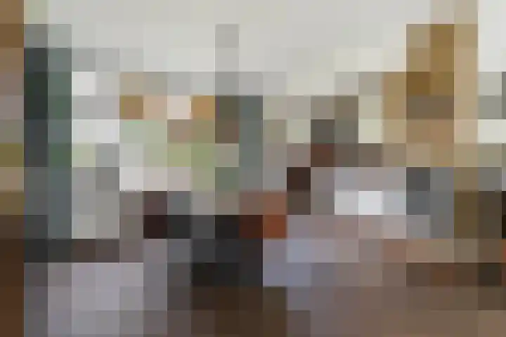 Berndijksestraat 65 Kaatsheuvel thumbnail 12