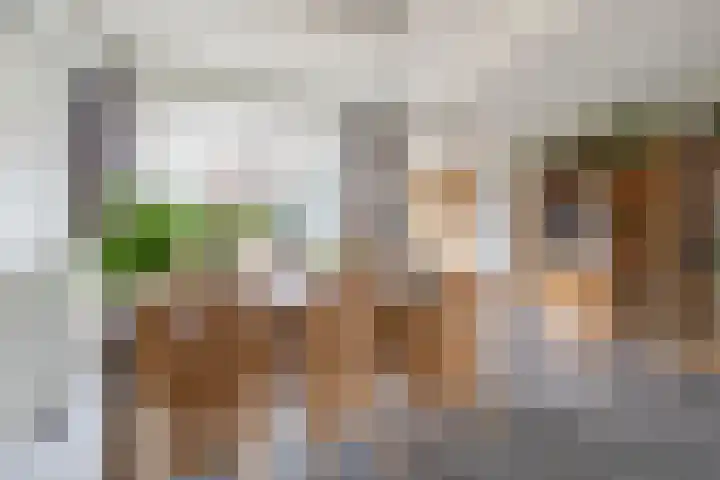 Berndijksestraat 8 Kaatsheuvel thumbnail 12