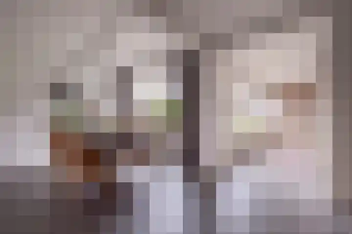 Berndijksestraat 8 Kaatsheuvel thumbnail 13