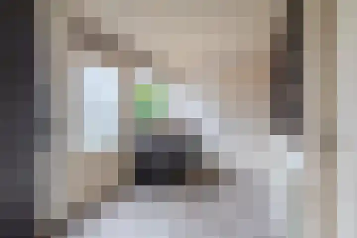 Berndijksestraat 8 Kaatsheuvel thumbnail 17