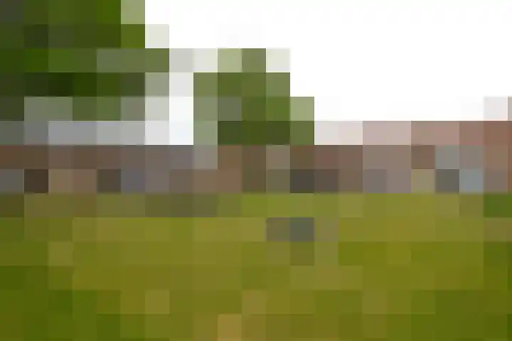 Berndijksestraat 8 Kaatsheuvel thumbnail 37