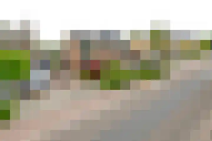 Berndijksestraat 8 Kaatsheuvel thumbnail 5