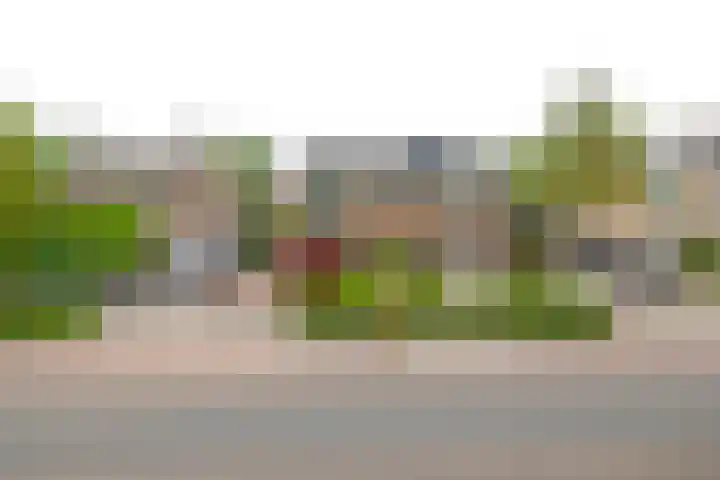 Berndijksestraat 8 Kaatsheuvel thumbnail 6