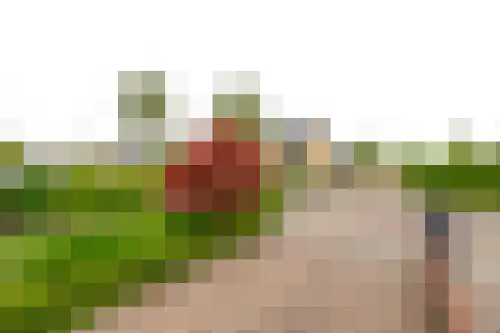 Berndijksestraat 8 Kaatsheuvel thumbnail 7