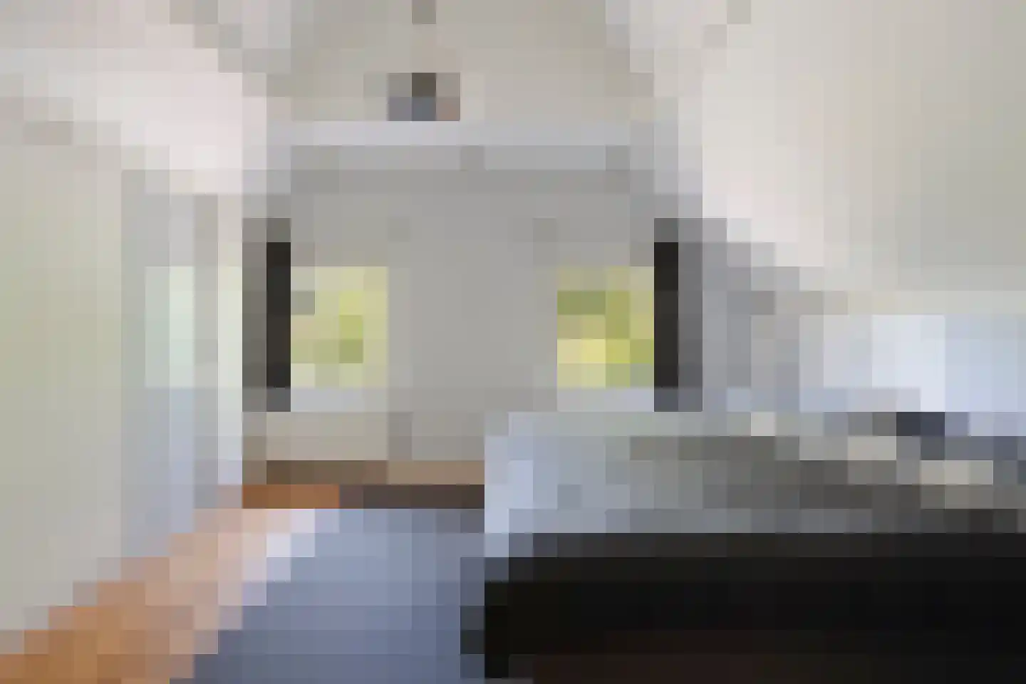 Bernestraat 5 Schaijk thumbnail 15