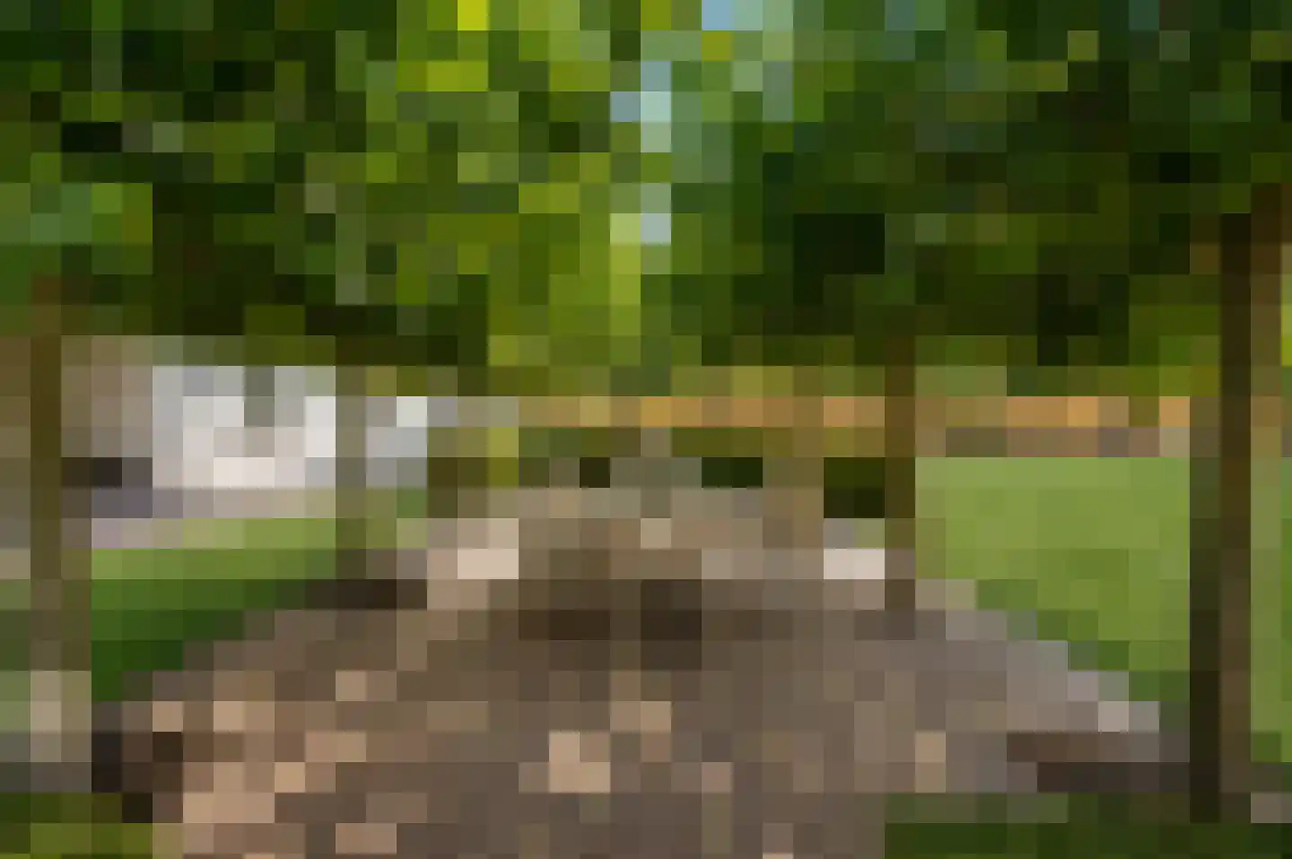 Bernestraat 5 Schaijk thumbnail 22