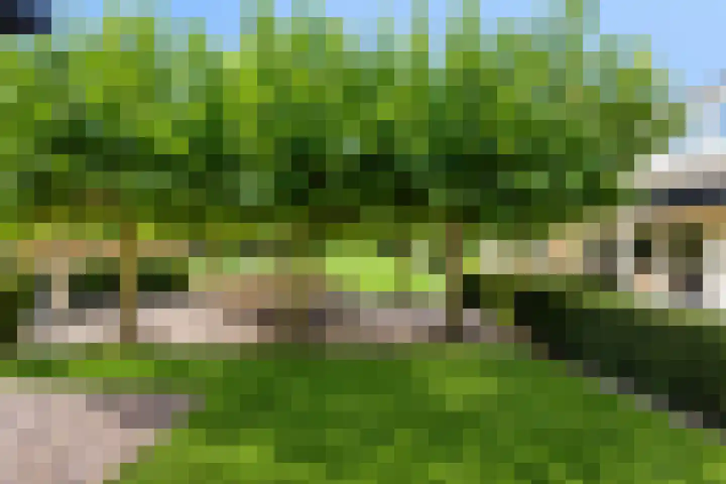 Bernestraat 5 Schaijk thumbnail 23