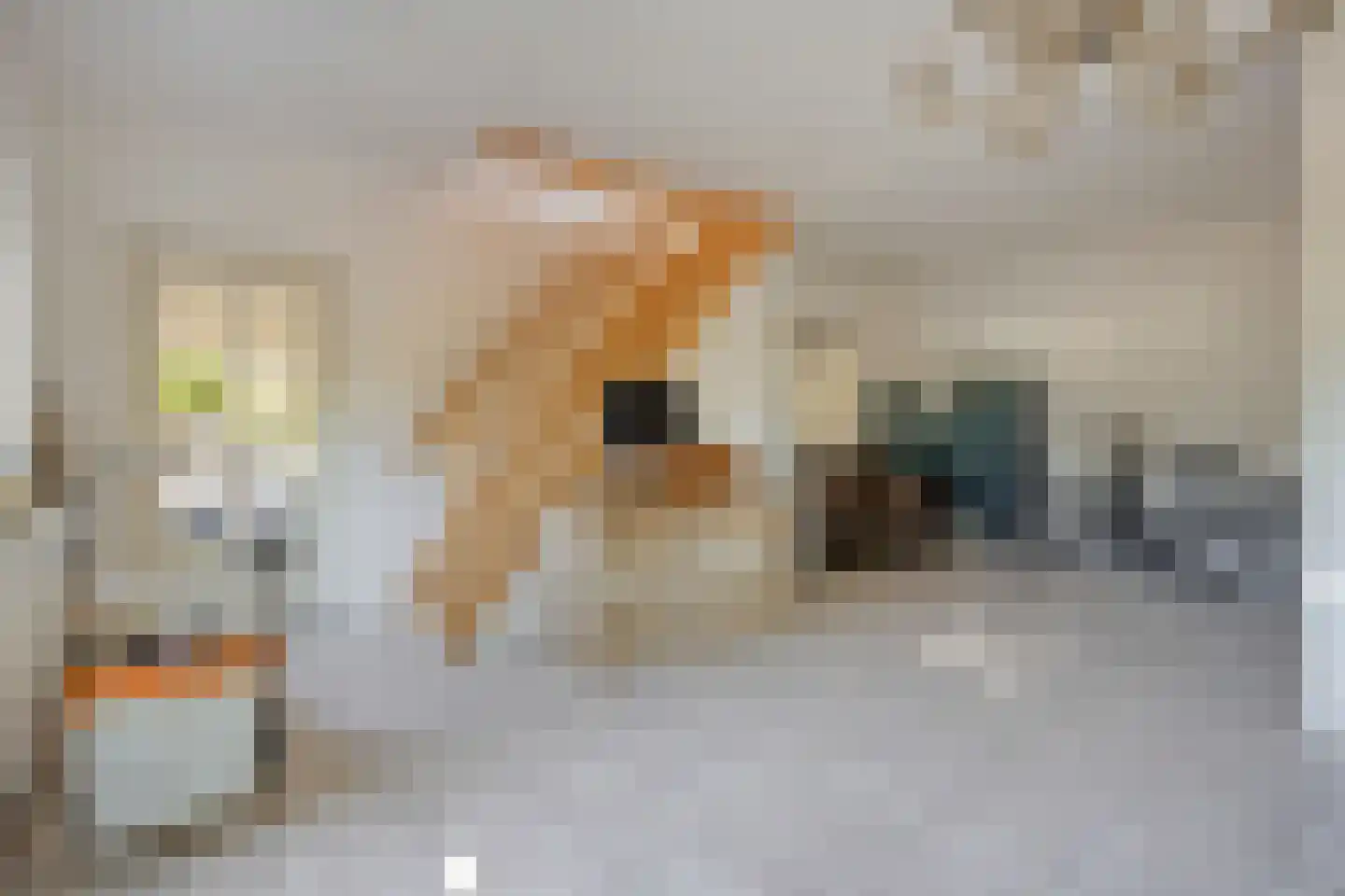 Bernestraat 5 Schaijk thumbnail 31