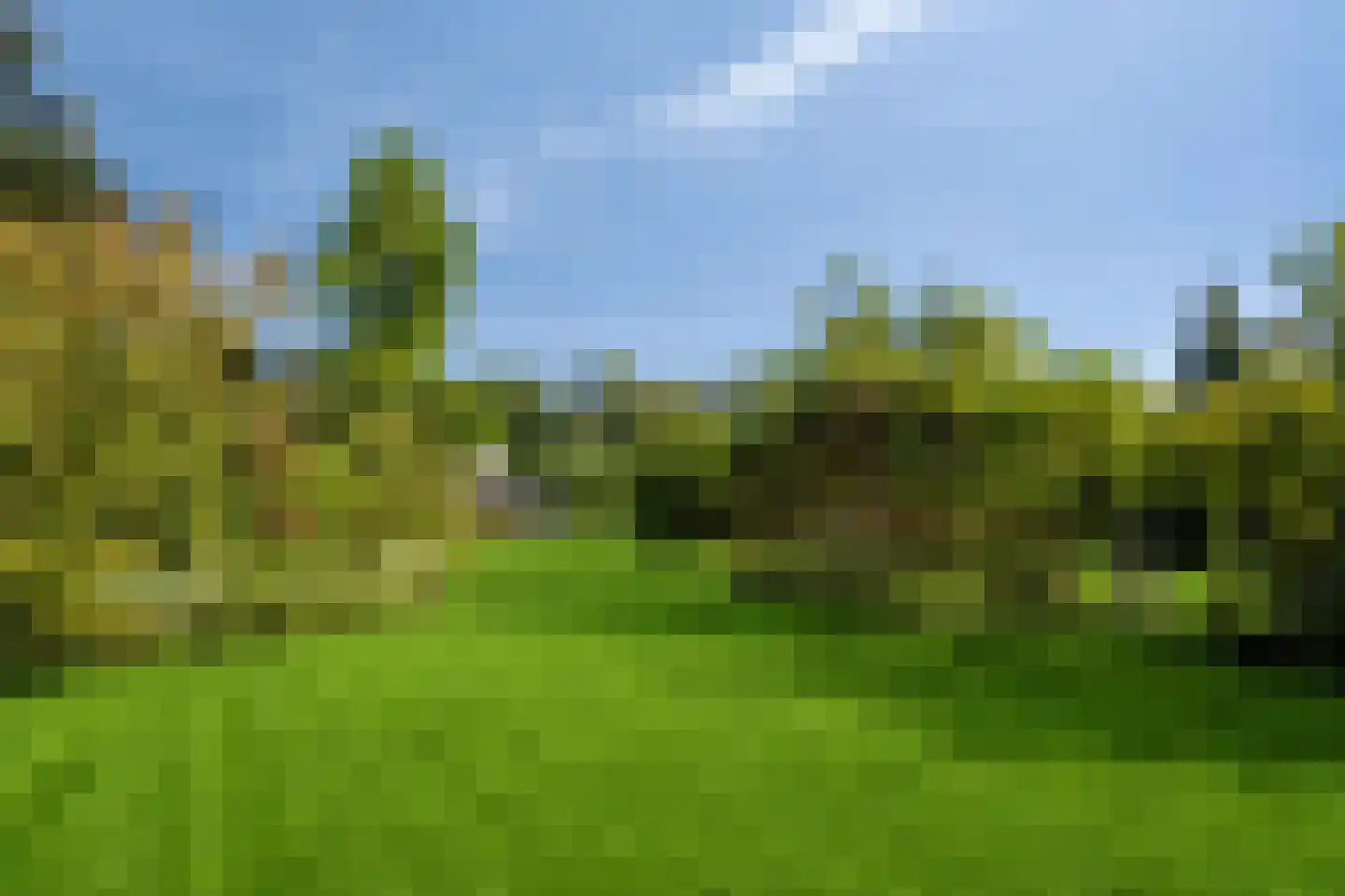 Bernestraat 5 Schaijk thumbnail 41